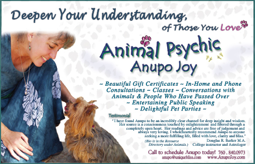 UniqueBliss Web Design -Anupo Joy Animal Psychic