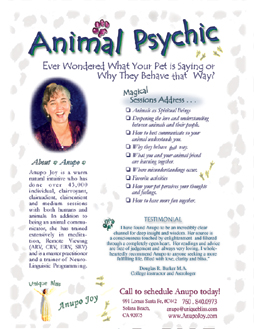 UniqueBliss Web Design -Anupo Joy Animal Psychic