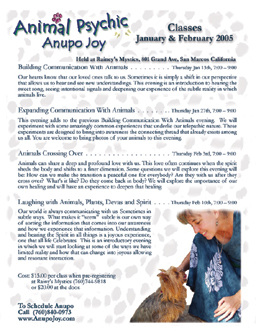 UniqueBliss Web Design -Anupo Joy Animal Psychic